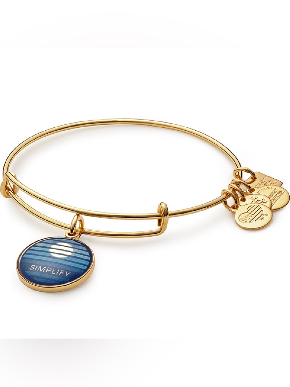 Alex & Ani Simplify Charm Bracelet NIB